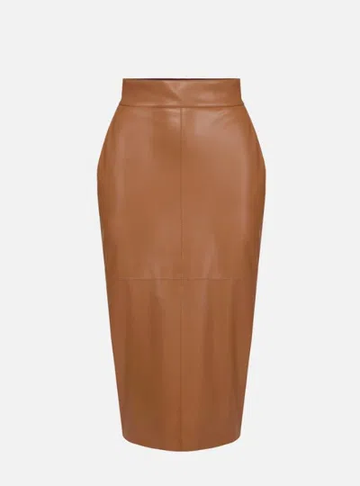 Elisabetta Franchi Pencil Skirt With Jewelled Hooks In Brown