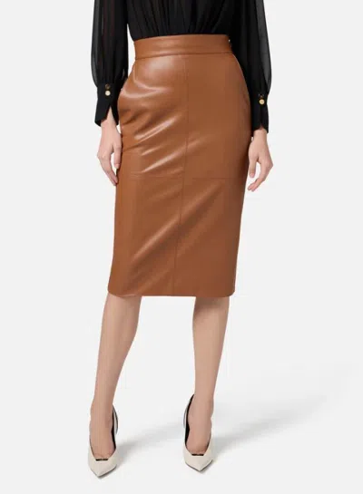 Elisabetta Franchi Pencil Skirt With Jewelled Hooks In Brown