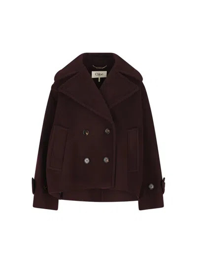 Chloé Double-breasted Short Coat Coats And Trench Coats Bordeaux In Brown
