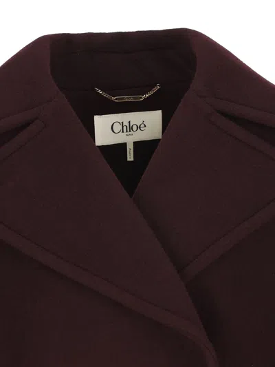 Chloé Double-breasted Short Coat Coats And Trench Coats Bordeaux In Brown