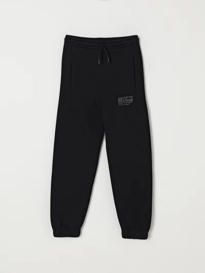 Msgm Logo-print Casual Trousers In Black