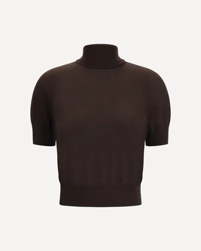 Petar Petrov Short-sleeve Turtleneck Top In Brown