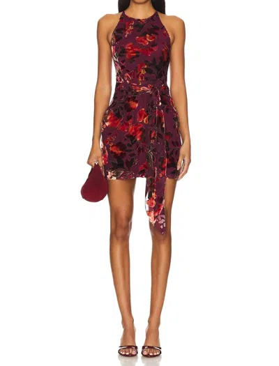 Amanda Uprichard Selah Dress In Sorrel Burnout In Red