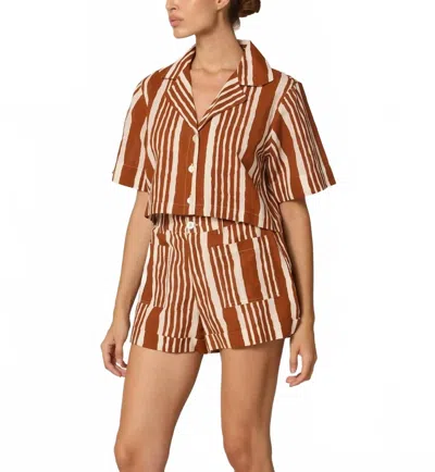 Cleobella Niko Shorts In Vecchio Stripe In Brown