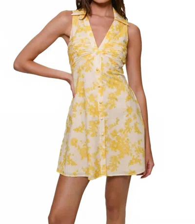 Hutch Colt Collared Mini Dress In Champagne Danity Fuzzy Floral In Multi