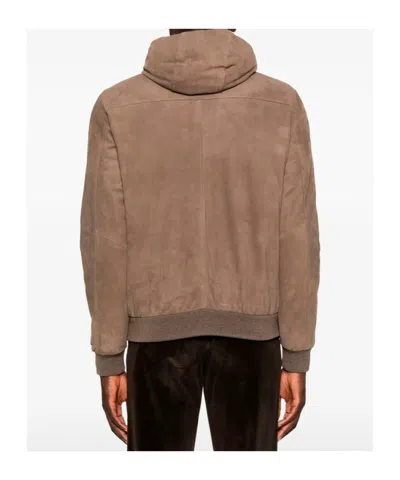 Moorer Suede Hooded Bomber Jacket In Brown