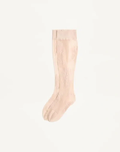 Valentino Floral Lace Knee-high Socks In Brown