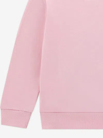 Guess Teddy-bear Embroidered Sweatshirt In Pink