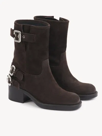 Chloé Stylish Block Heel Suede Ankle Boots In Brown