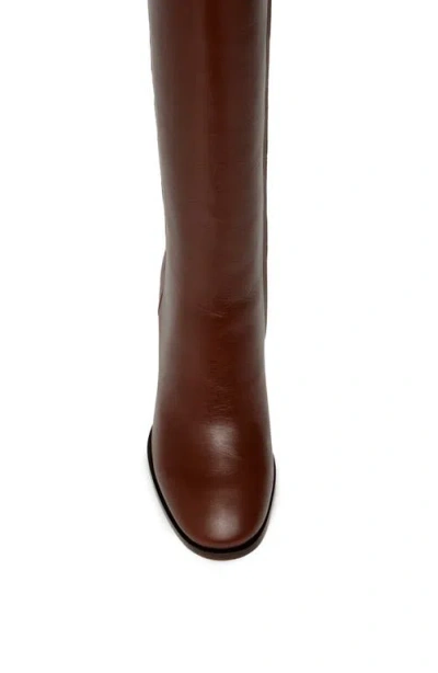 Paige Iris Knee High Boot In Brown