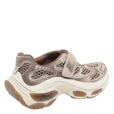 Ash Drake Sneaker In Neutral