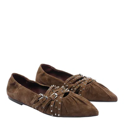 Ash Brendah Pointed-toe Buckle Ballet Flats In Brown