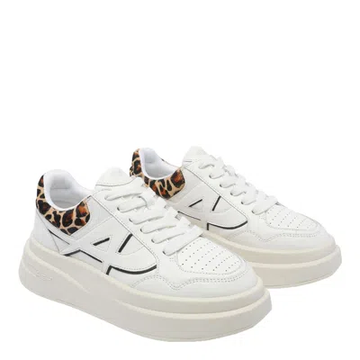 Ash Low Top Sneakers Leopard Print In White