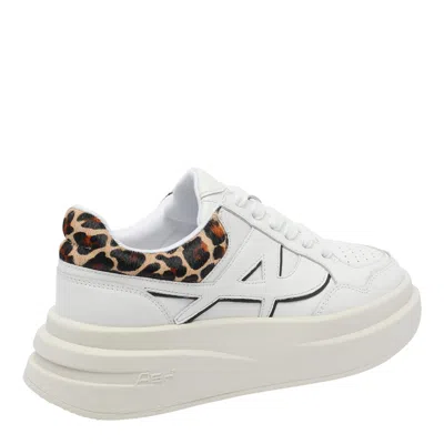 Ash Low Top Sneakers Leopard Print In White