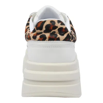 Ash Low Top Sneakers Leopard Print In White