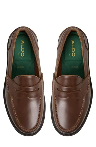Aldo Buckley Penny Loafer In Brown