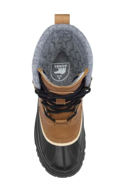 Sorel Out N About Iv Classic Boots Rustic Brown/redwood In Multi