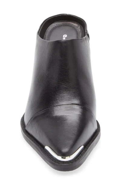 Chocolat Blu Louie Mule In Black