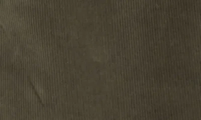 Pistola Penny Cropped High-rise Corduroy Pants In Sequoia In Green