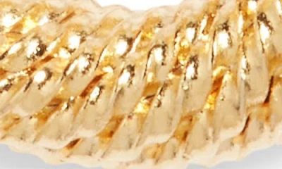 Set & Stones Isabelle Hoop Earrings In Gold