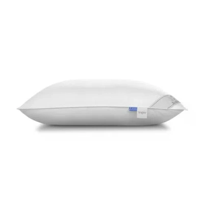 Togas Libra Pillow In Multi