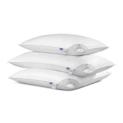 Togas Libra Pillow In Multi