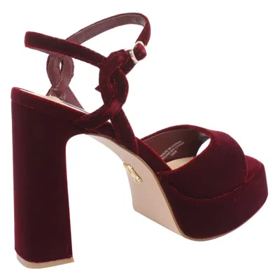 Steve Madden Sandals In Red