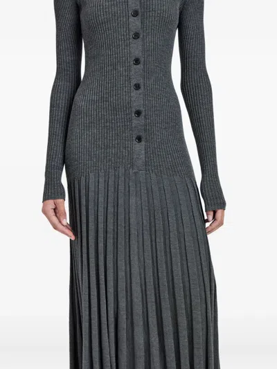 Proenza Schouler Jada Turtleneck Drop-waist Button-front Maxi Dress In Gray