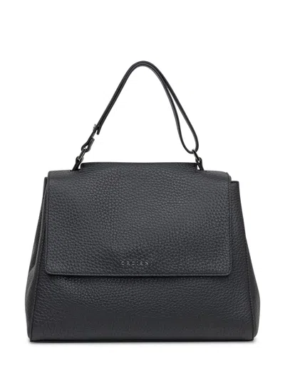 Orciani Black Leather Bag With Flap And Handle In Black