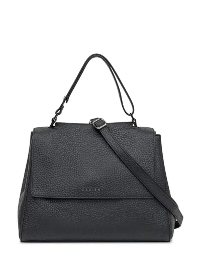 Orciani Black Leather Bag With Flap And Handle In Black