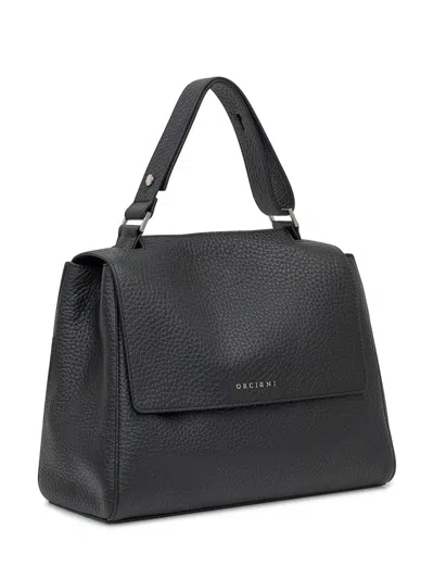 Orciani Black Leather Bag With Flap And Handle In Black