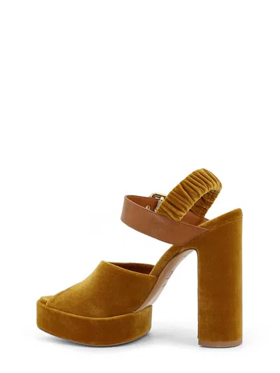 Chloé Chloe' Women Aria Velvet Sandals In Brown