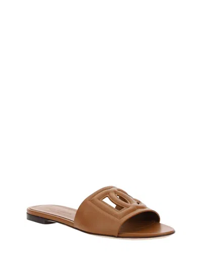 Dolce & Gabbana Woman Sandals Camel Size 5.5 Calfskin In Brown