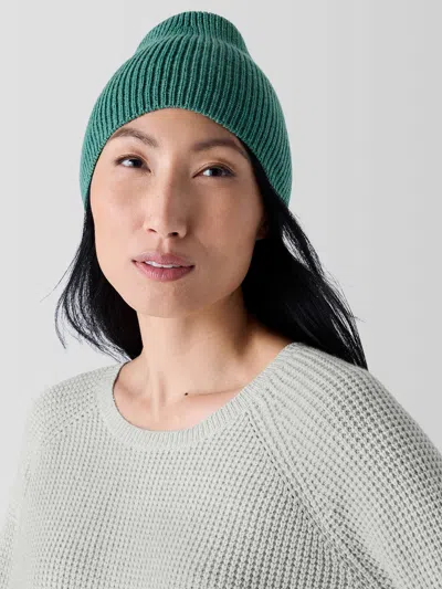 Eileen Fisher Merino Hat In Regenerative Wool In Green