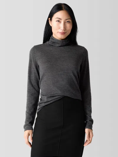 Eileen Fisher Fine Merino Turtleneck Top In Regenerative Wool In Gray
