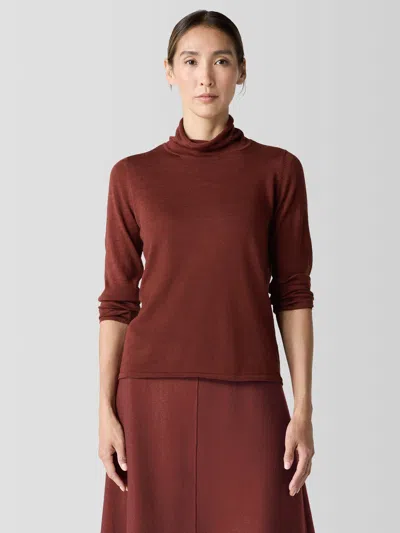 Eileen Fisher Fine Merino Turtleneck Top In Regenerative Wool In Brown