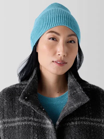 Eileen Fisher Merino Hat In Regenerative Wool In Blue