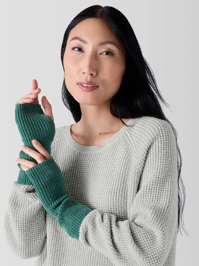 Eileen Fisher Merino Glovelettes In Regenerative Wool In Green