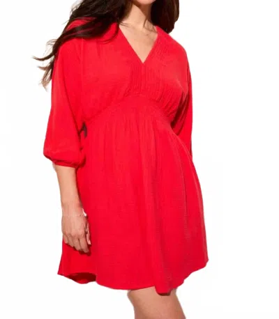 Tribal Smocked Puff Sleeve Dress In Bayberry In Red
