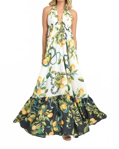 Steffany Milano Citrus Blossom Maxi Dress In Multi In Multi