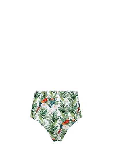 Lia Sahara Women's Reversible Compression High Waist Bikini Bottom In Parrots In Bloom + Dots In Green