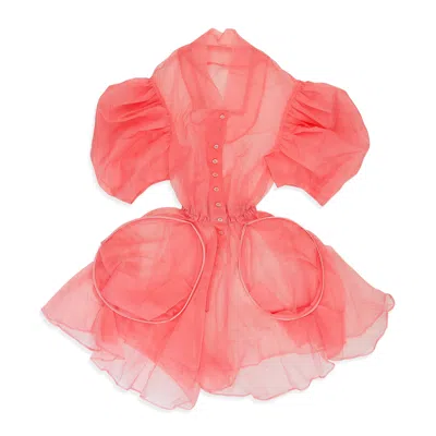 Jenny Fax Pink Spring Felling Day Dress In Pink
