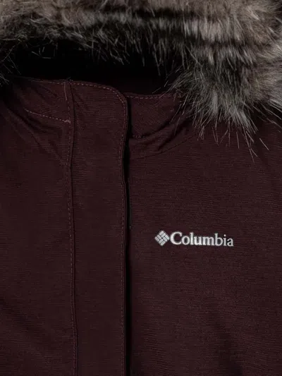Columbia Nordic Strider™ Ii Hooded Jacket In Burgundy