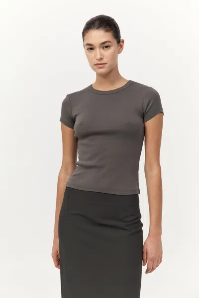 St Agni Organic Cotton Baby Tee In Khaki In Brown