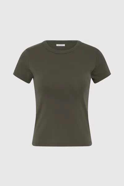 St Agni Organic Cotton Baby Tee In Khaki In Brown