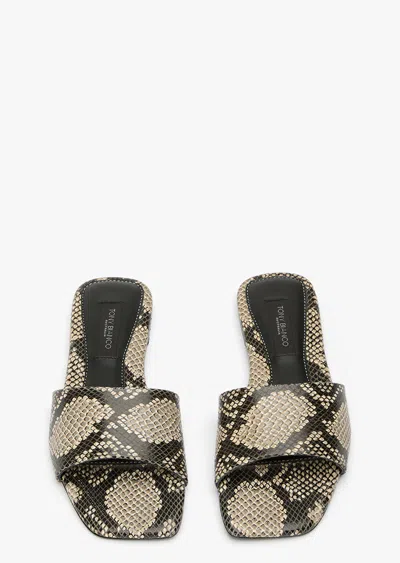 Tony Bianco Ripper Ecru Snake In Multi