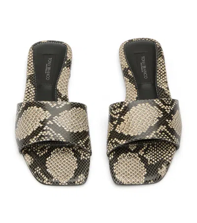 Tony Bianco Ripper Ecru Snake In Multi