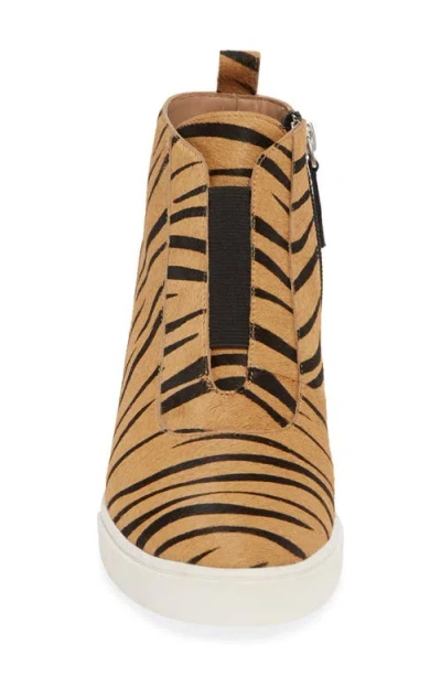 Linea Paolo Anna Genuine Calf Hair Wedge Sneaker In Brown