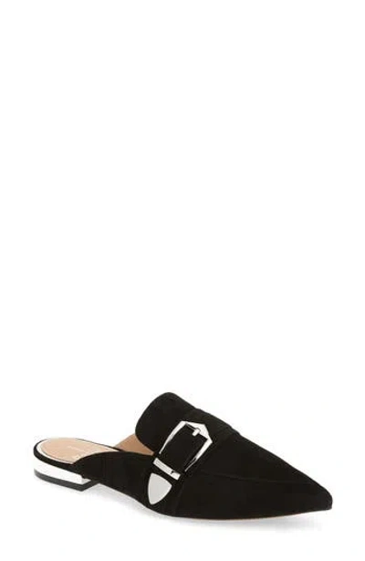 Linea Paolo Ace Buckle Pointed Toe Mule In Black