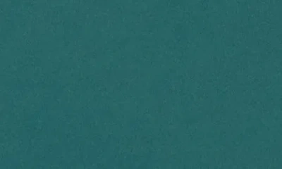 X By Gottex Rib Insert Activewear Bra In Green